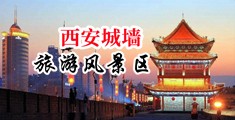 啊啊啊鸡巴好大插我的逼好舒服视频中国陕西-西安城墙旅游风景区