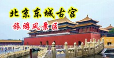 日韩美女舔大棒中国北京-东城古宫旅游风景区